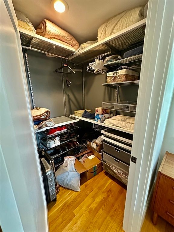 Interior, Recessed Lighting, Walk-in Closets, Wood Texture Flooring