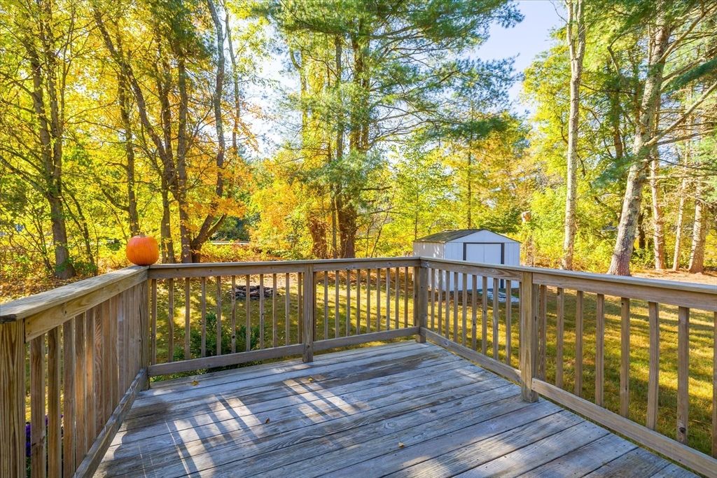 Exterior, Wood Texture Flooring