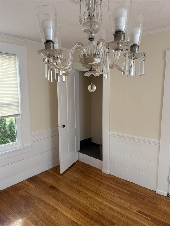 Chandelier, Interior, Wood Texture Flooring
