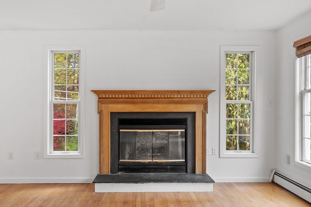 Fireplace, Interior, Wood Texture Flooring