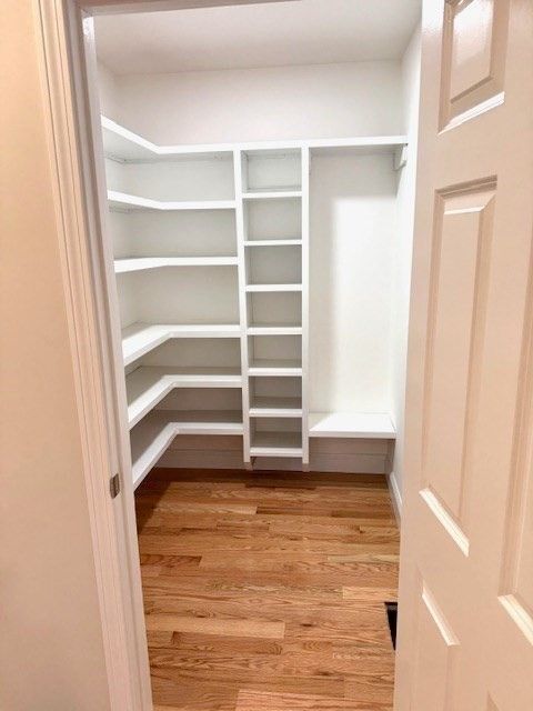 Interior, Walk-in Closets, Wood Texture Flooring