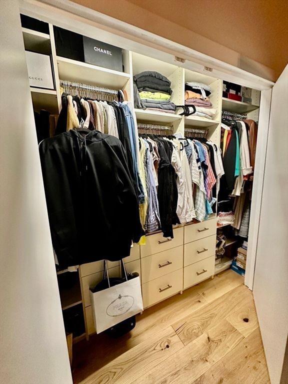 Interior, Walk-in Closets, Wood Texture Flooring