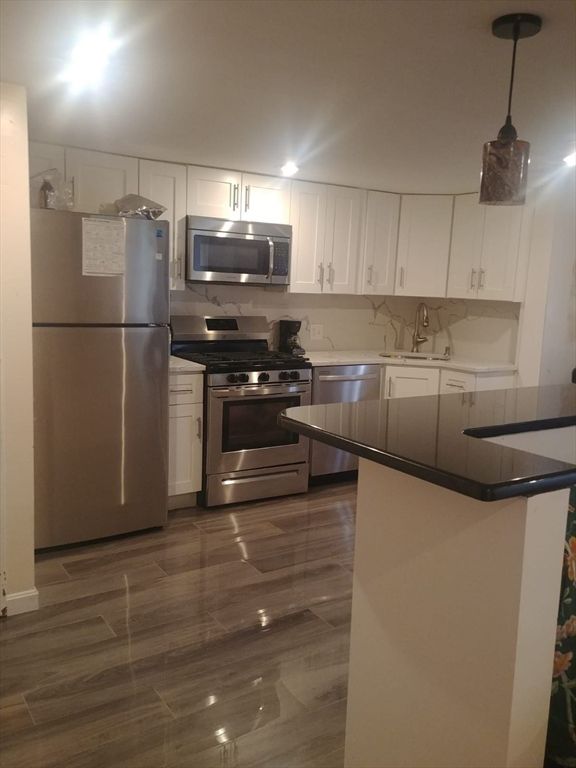 Interior, Kitchen, Stainless Steel Appliances, Wood Texture Flooring