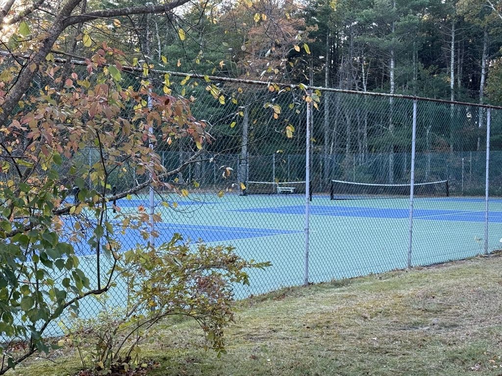 Exterior, Tennis Courts