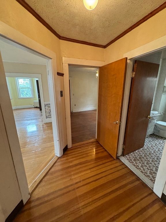 Bathroom, Empty room, Interior, Wood Texture Flooring