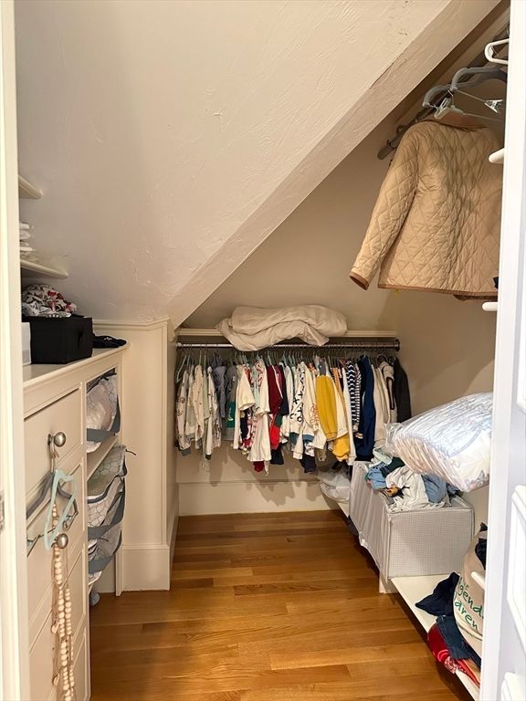 Interior, Walk-in Closets, Wood Texture Flooring