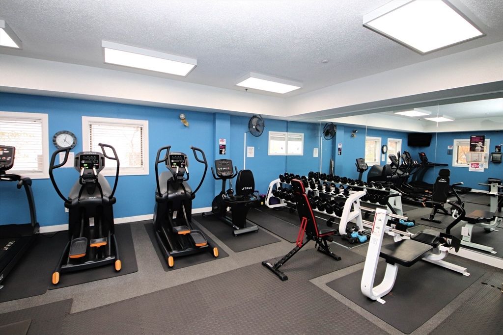 Fitness Equipment, Interior, Recessed Lighting