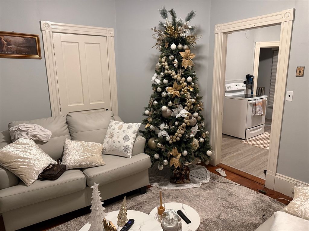 Interior, Living room, Washer, Wood Texture Flooring