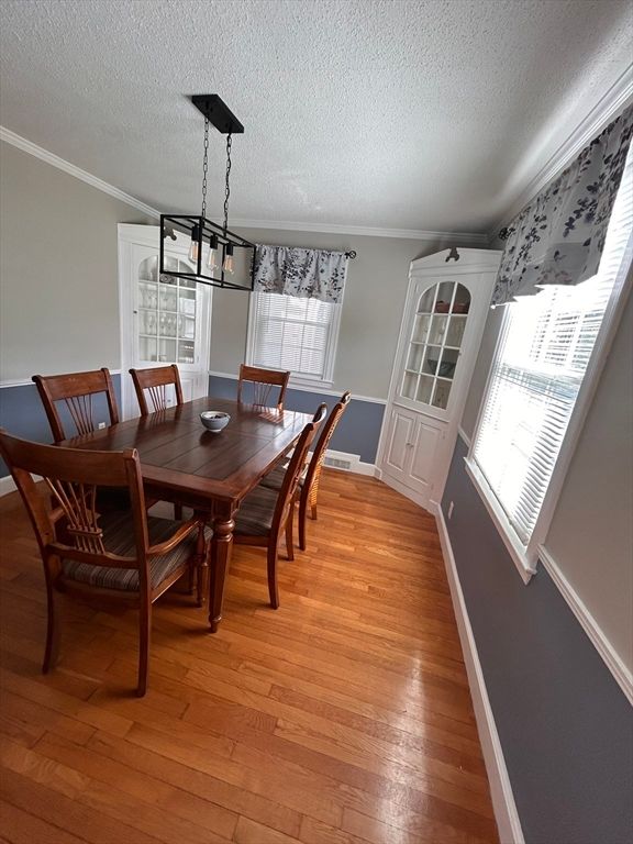 Dining room, Interior, Pendant Lights, Wood Texture Flooring