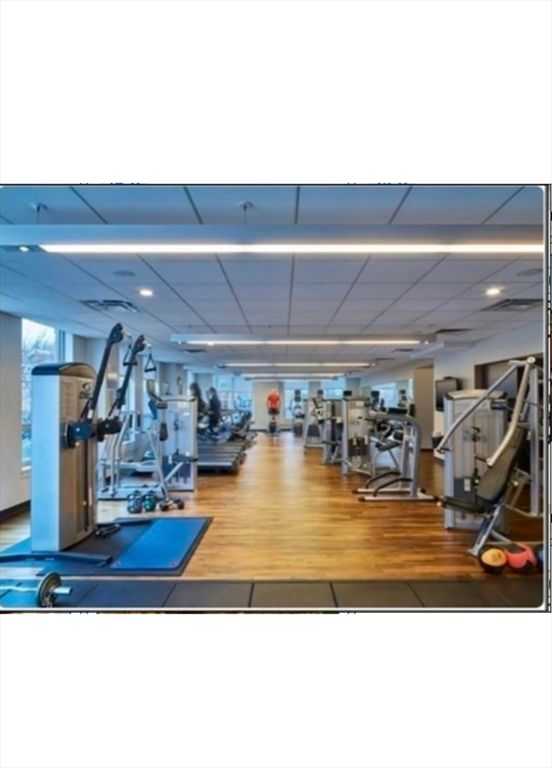 Fitness Equipment, Gym, Interior, Recessed Lighting, Wood Texture Flooring