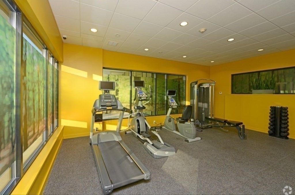 Fitness Equipment, Interior, Recessed Lighting