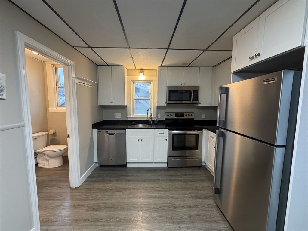 Interior, Kitchen, Stainless Steel Appliances, Wood Texture Flooring