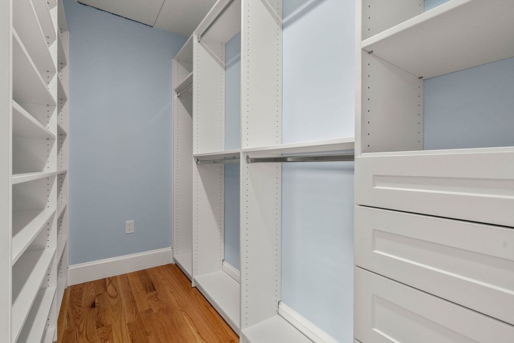 Interior, Walk-in Closets, Wood Texture Flooring
