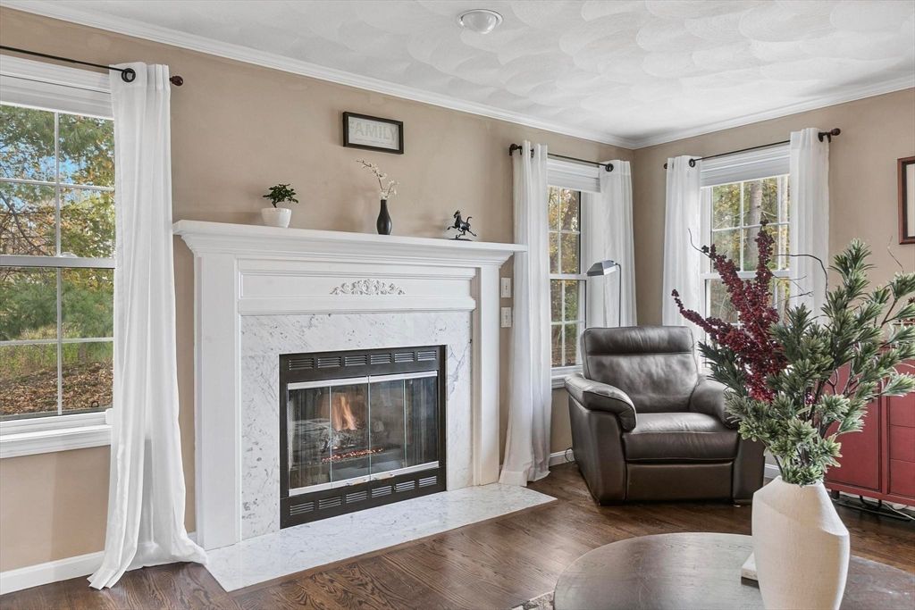Fireplace, Interior, Wood Texture Flooring