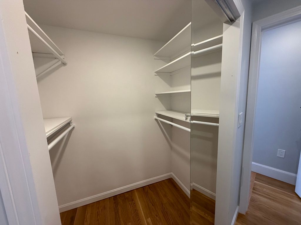 Interior, Walk-in Closets, Wood Texture Flooring