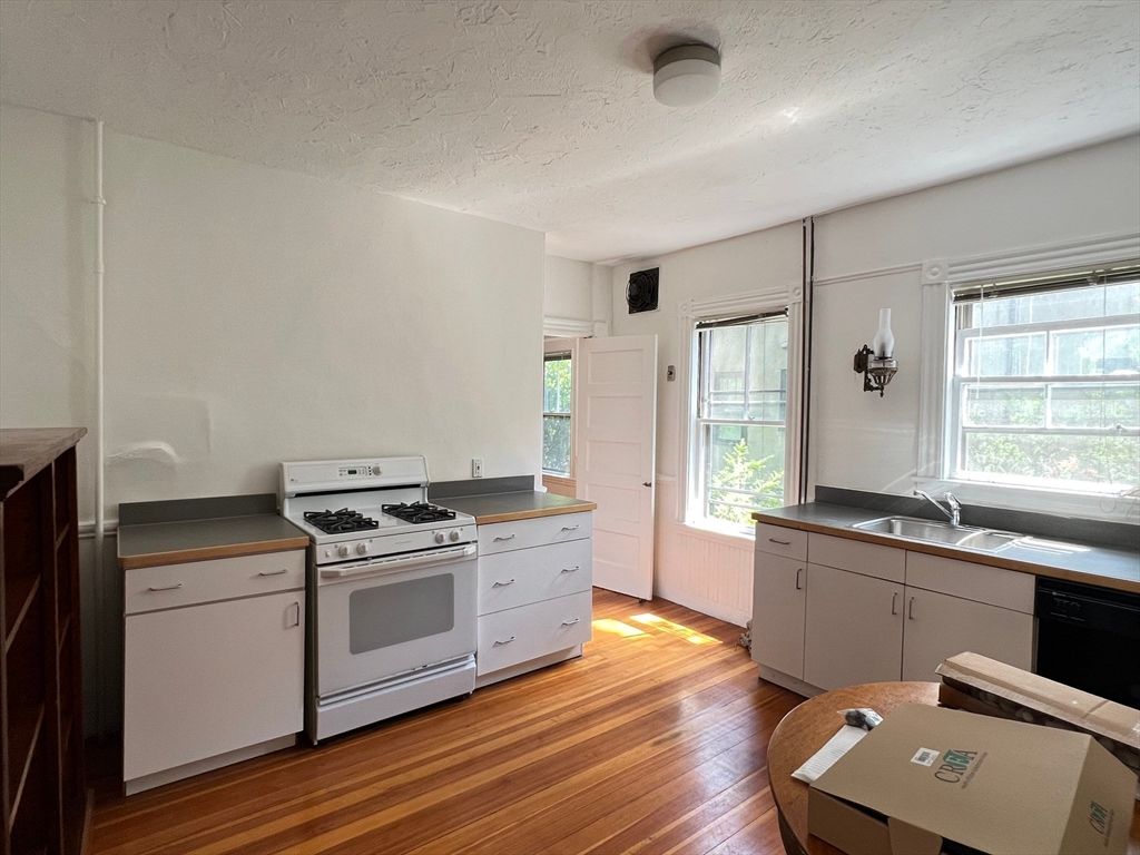 Interior, Kitchen, Wood Texture Flooring
