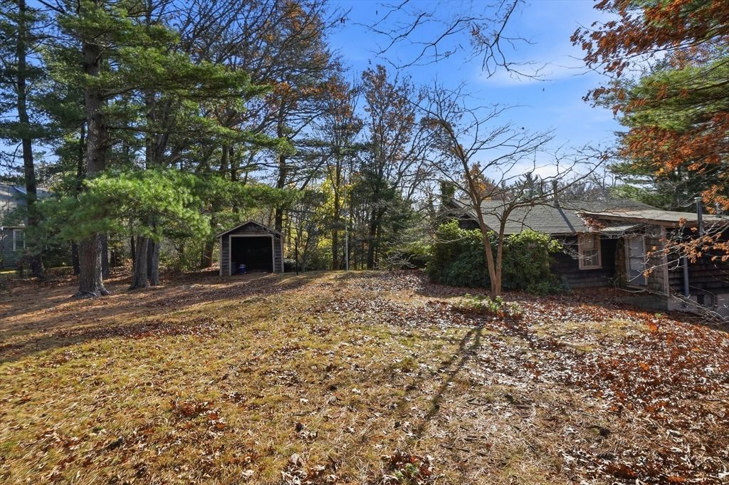 Backyard, Detached Garage, Exterior