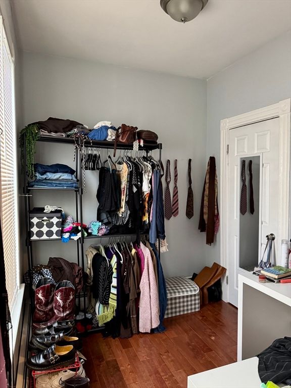 Interior, Walk-in Closets, Wood Texture Flooring