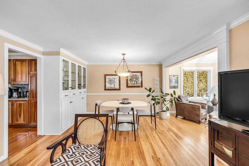 Dining room, Interior, Living room, Pendant Lights, Wood Texture Flooring