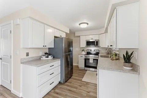 Interior, Kitchen, Stainless Steel Appliances, Wood Texture Flooring