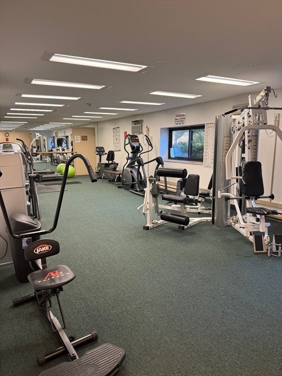 Fitness Equipment, Gym, Interior, Recessed Lighting