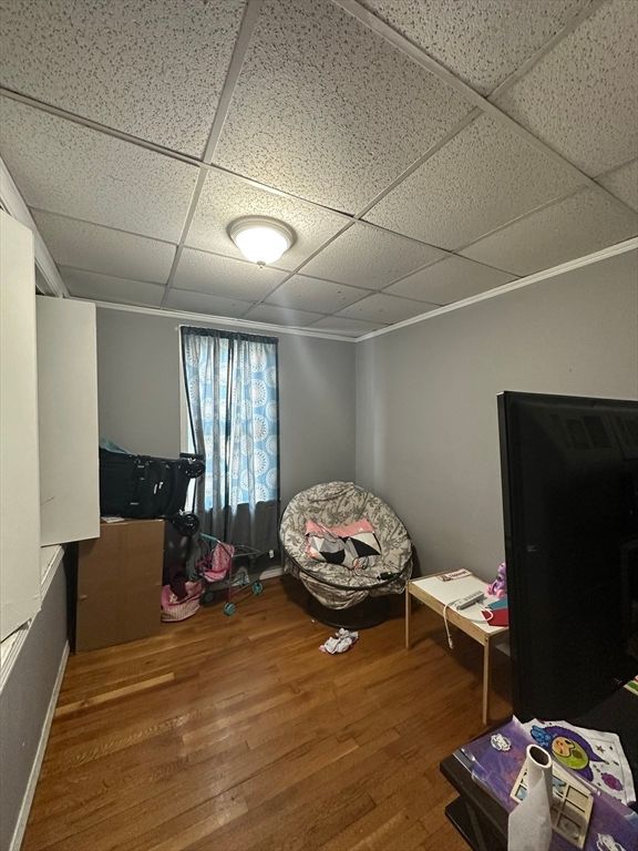 Fitness Equipment, Interior, Wood Texture Flooring