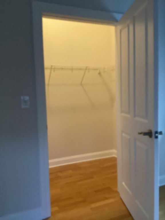 Interior, Recessed Lighting, Walk-in Closets, Wood Texture Flooring