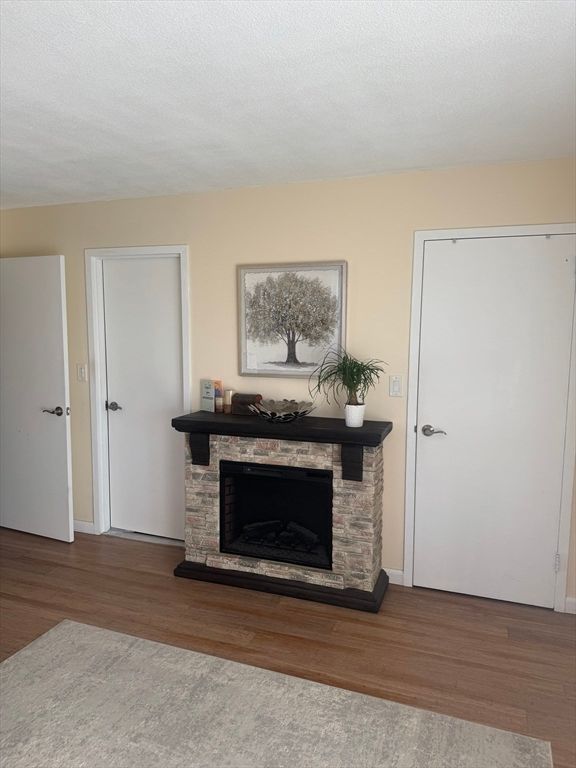 Fireplace, Interior, Wood Texture Flooring