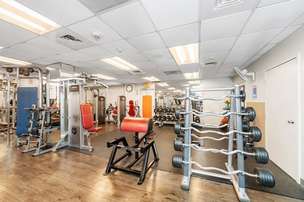Fitness Equipment, Gym, Interior, Recessed Lighting, Wood Texture Flooring