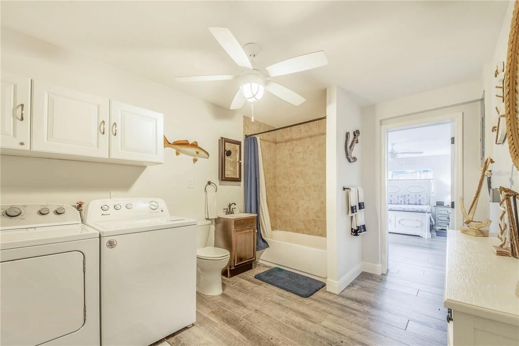 Bathroom, Interior, Washer, Wood Texture Flooring