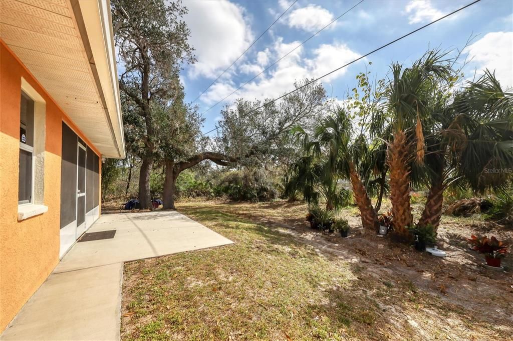 Backyard, Exterior