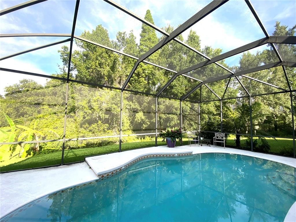 Glass Ceilings, Interior, Pool, Sun Room