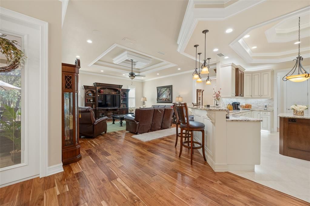 Interior, Kitchen, Living room, Pendant Lights, Recessed Lighting, Wood Texture Flooring