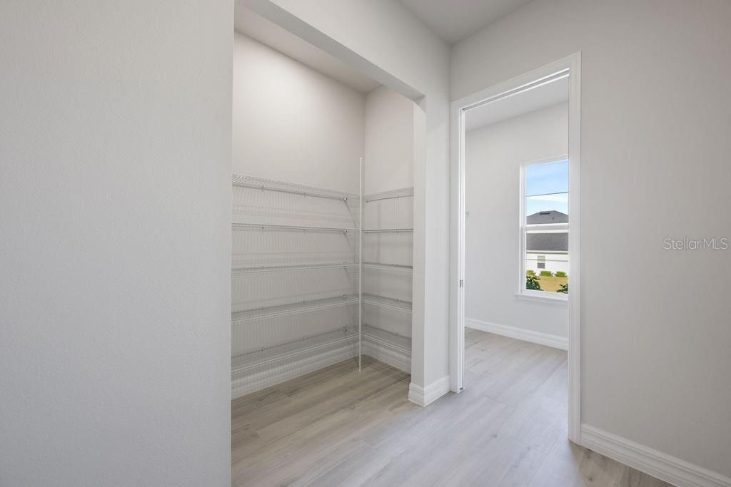 Interior, Walk-in Closets, Wood Texture Flooring