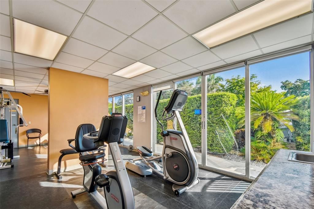 Fitness Equipment, Gym, Interior, Recessed Lighting