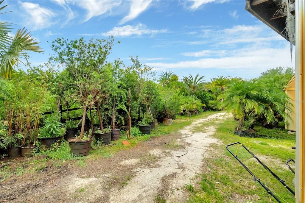 Backyard, Exterior