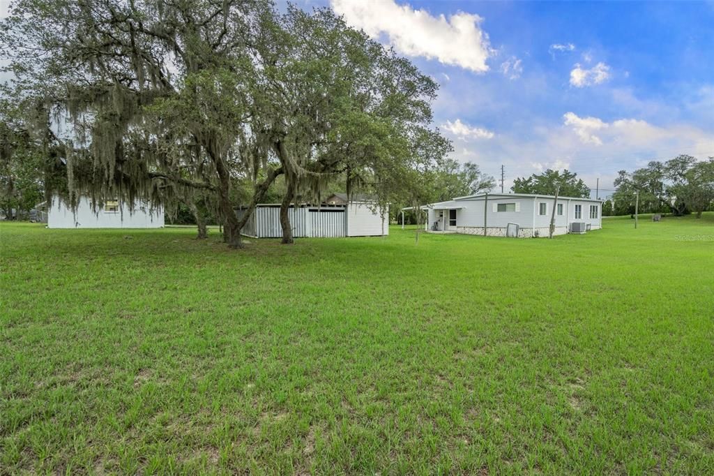 Backyard, Exterior