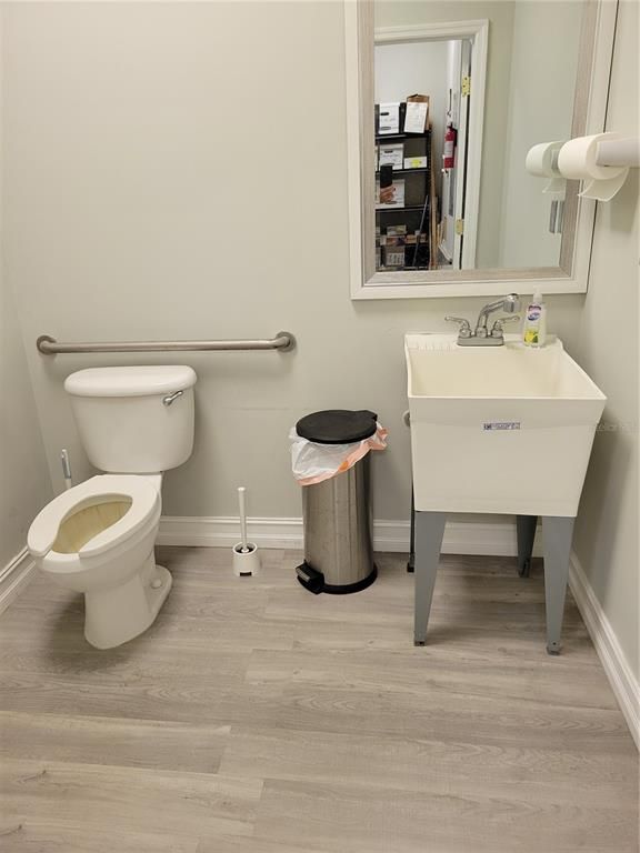 Bathroom, Interior, Wood Texture Flooring
