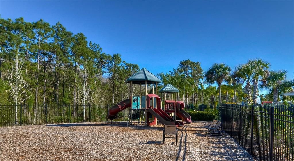 Backyard, Exterior, Playground