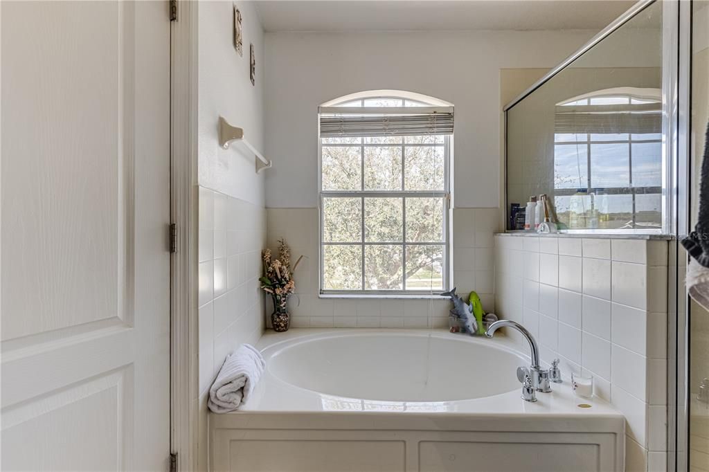 Bathroom, Interior, Water