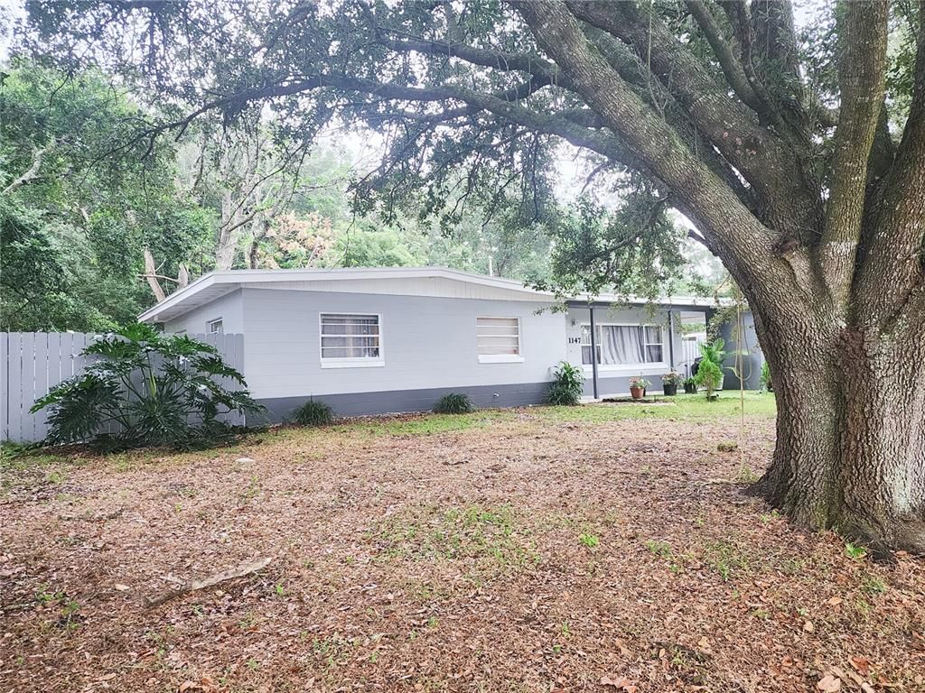 Backyard, Exterior