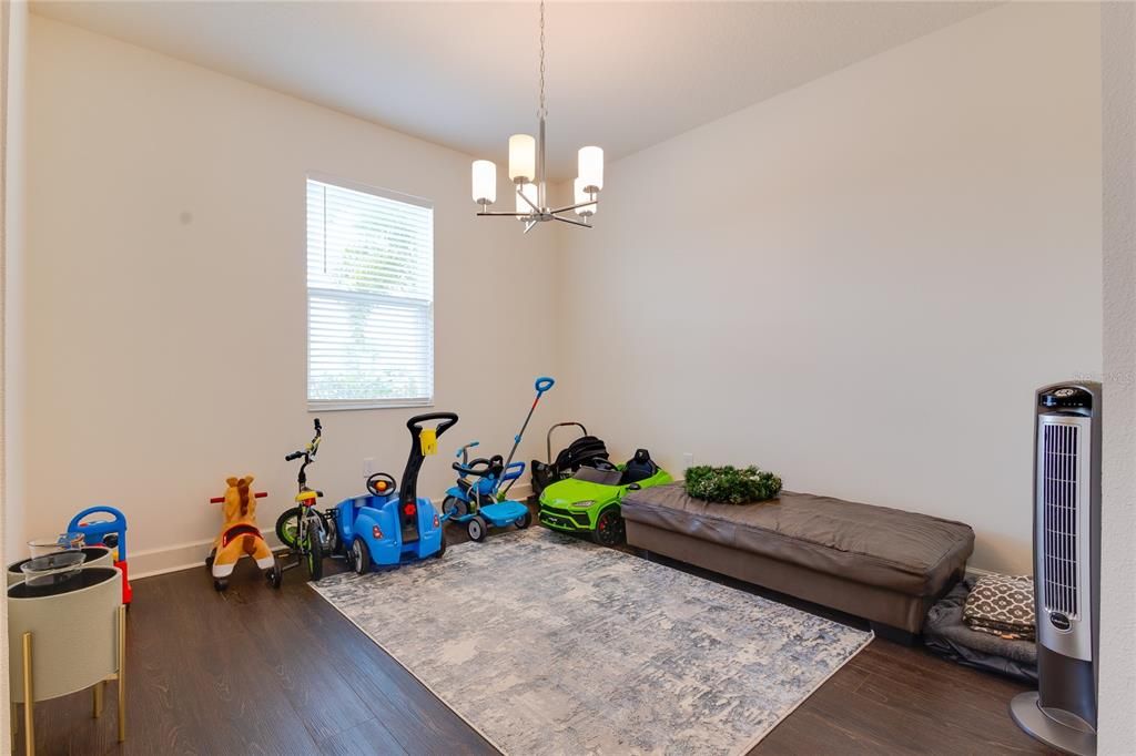 Chandelier, Interior, Wood Texture Flooring