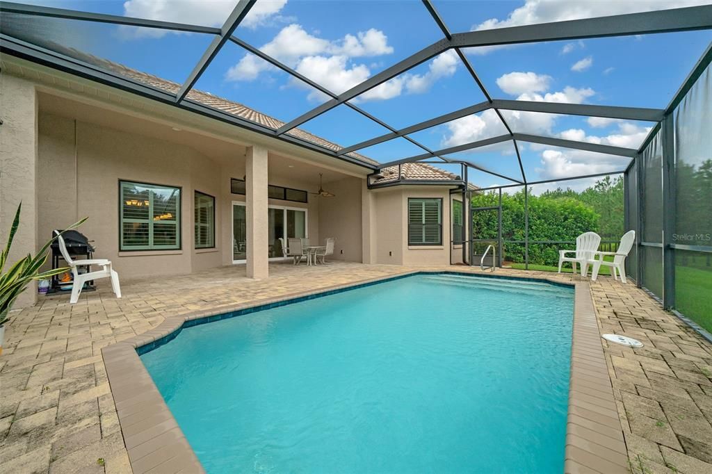 Glass Ceilings, Interior, Pool, Sun Room