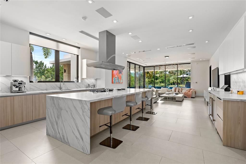 Interior, Kitchen, Living room, Marble Walls, Recessed Lighting, Stainless Steel Appliances