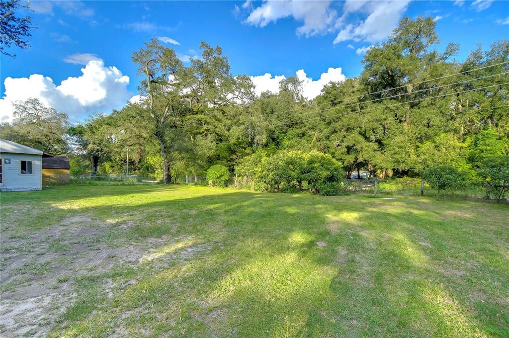Backyard, Exterior