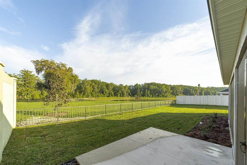 Backyard, Exterior