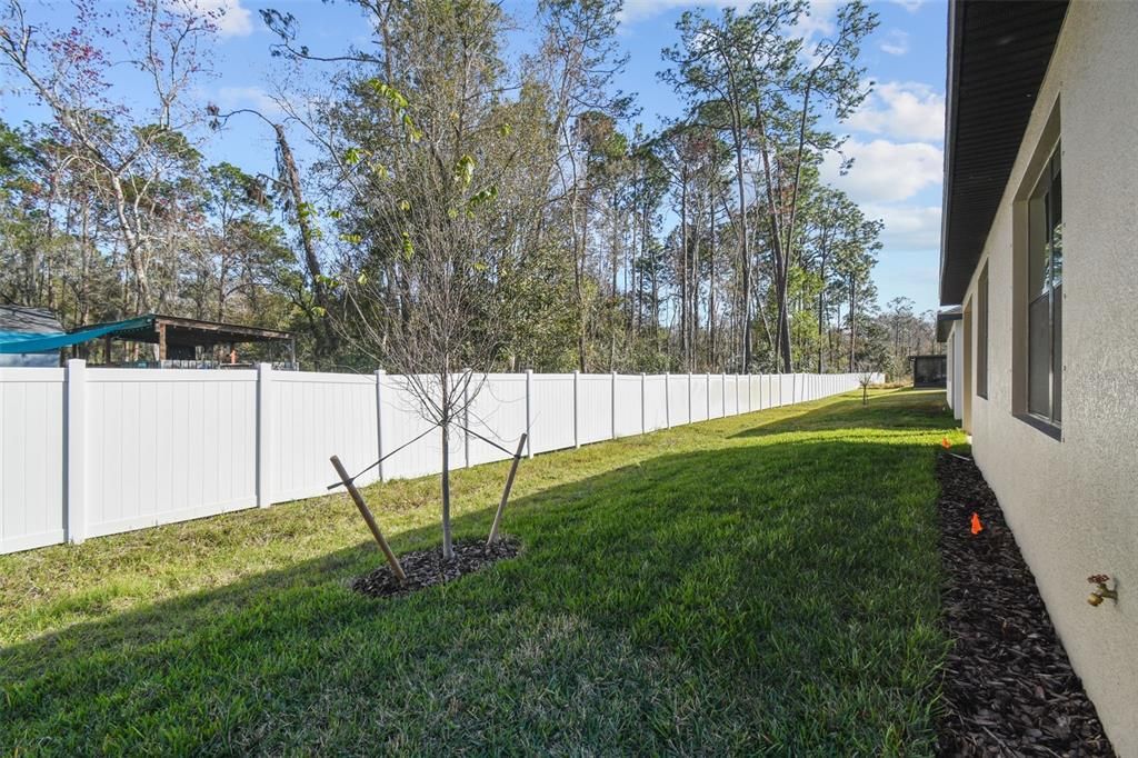 Backyard, Exterior