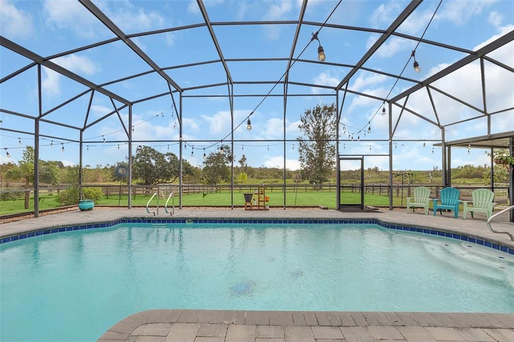Glass Ceilings, Interior, Pool, Sun Room