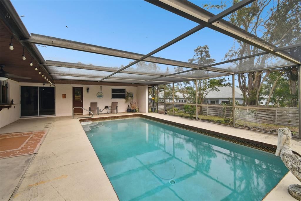 Glass Ceilings, Interior, Pool, Sun Room