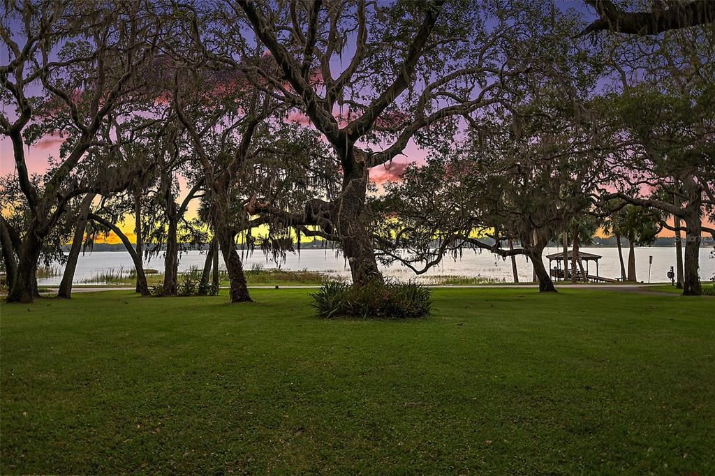 Backyard, Exterior, Water